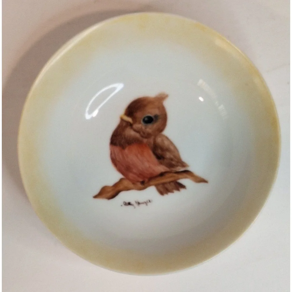 Vintage‎ Handpainted Ceramic Bowl Baby Robin Spring Bird